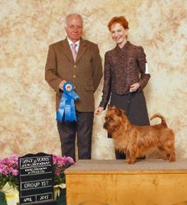 tiny terrier wins group 1